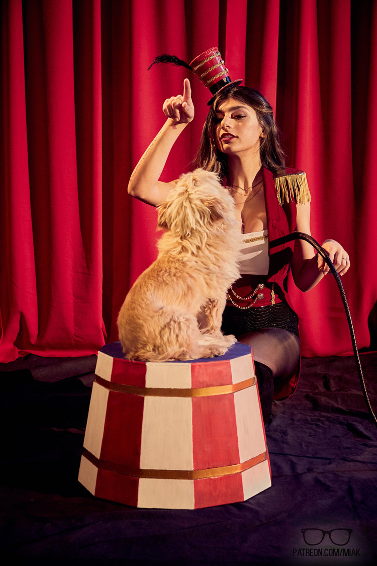 Lion Tamer 🦁 high-quality photo 2