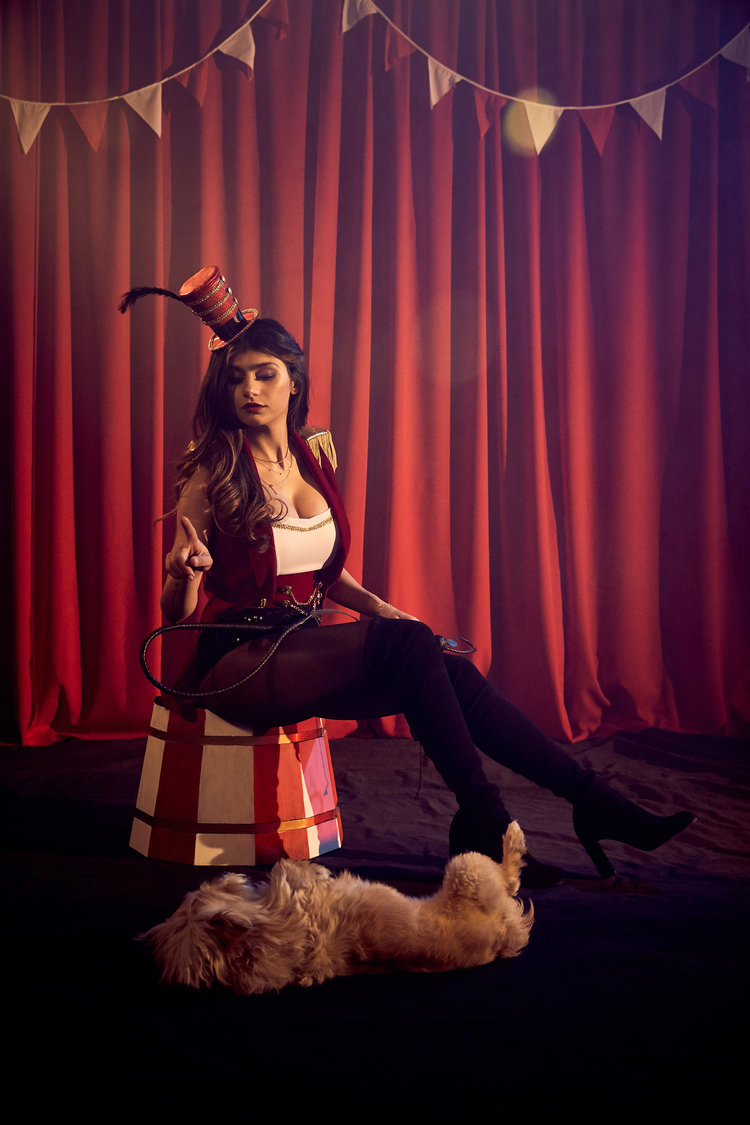 Lion Tamer 🦁 high-quality photo 5